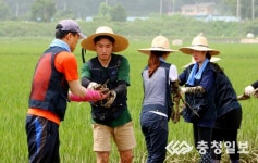 청주 수해 복구 작업하는 동일토건 임직원