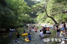 더위야 가라 계곡마다 인파 북적