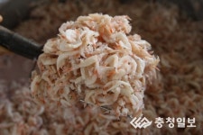 광천토굴새우젓, 맛·품질 최고