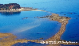 신비의 바닷길 보고  맨손으로 고기잡고