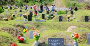 조상의 묘 돌보는손길