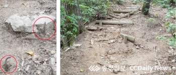 충주 보련산 등산로 관리 엉망
