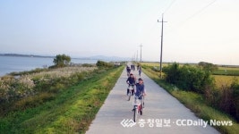 가족·연인과 황금빛 가을 달려요