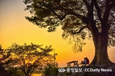 강정임씨 옥녀봉 최우수