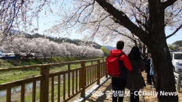 금산읍 후곤천에 보행전용 데크길