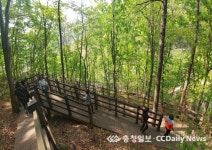 민주지산으로 떠나는 힐링여행