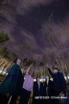 씨유 보은속리산점 | 보은 속리산에서 오감만끽 봄여행