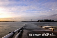 열대야 잊게 해줄 밤산책