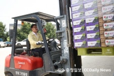명품 영동포도, 12년째 미국 수출길