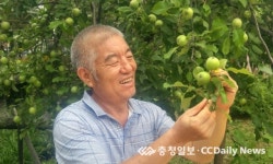 중국농업과학원 과수 병충해 전문 연구원 천한졔