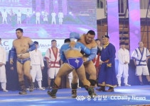 국제무예연무대회 성황 속 폐막…미르메 챔피언 등극