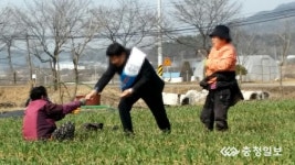 마늘밭 찾은 조합장선거 후보