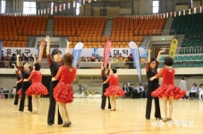 2019 대전시 어르신생활체육대회 성료