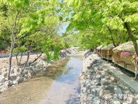 충남 소하천, 전국에서 통했다