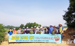 덕산면 주민자치위원회, 소외계층을 위한 고구마 심기 행사