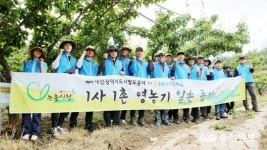 대전도시철도, 영농기 농촌 일손돕기 구슬땀