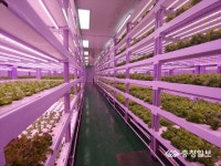 정상혁 보은군수, 주말 반납 미래 먹거리 개발 잰걸음