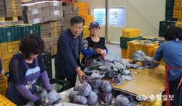 국산 양채 대만 수출