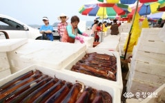 신진항으로 싱싱한 활어 오징어 맛보러 오세요