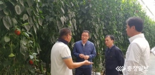 日 수출 농산물 타격 우려… 긴급 점검