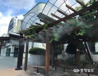 코레일 영동역은 편안하고 시원하다!