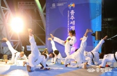 아듀~충주세계무술축제 2년 뒤 세계무예축제로 만나요