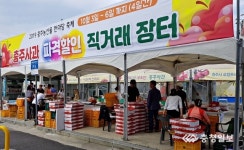 충주사과 파격할인 판매행사…가격 폭락 농민 시름