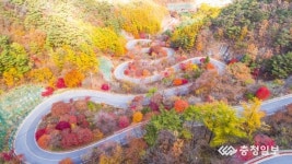 단양 가곡면 보발재 가을 길 인기