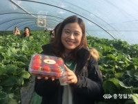 홍성 천년여행길 탐방 외국인참여 인기