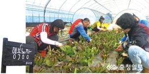 홍성군 행복농장 사회적 농업 거점농장 선정