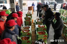 달콤쫀득 영동 곶감 경매 북적북적