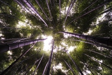 창간 74돌 … 올곧은 언론 자리매김