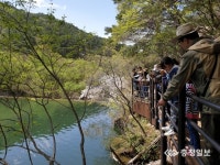 속리산, 코로나19로 지친 봄나들이객 발길 이어져