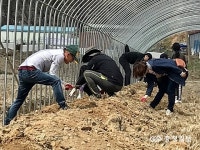 괴산군 농정과 직원, 장연면으로 출동...농촌일손지원 구슬땀