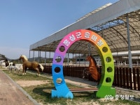 Foto aus Naver-Suchergebnissen 3