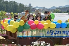 제천 삼한의 초록길에 소달구지 운영