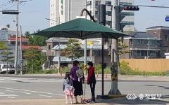 서산시,  횡단보도 43곳 무더위 그늘막