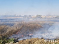 천안 서북구 올들어 화재 89건 발생