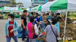 충남농협 내포신도시 목요장터 서산 마늘 특판행사