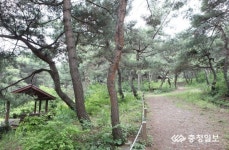 천안, 여름철 휴가는 언택트 관광 가능한 천안으로 놀러오세요