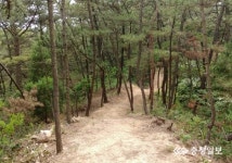 태안군, 백화산에 3028m 등산로 신설