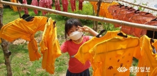 세종 온빛유치원, 조물조물 전통 염색체험 오감만족