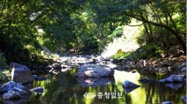 제천시 백운면 덕동리 공공하수도 설치