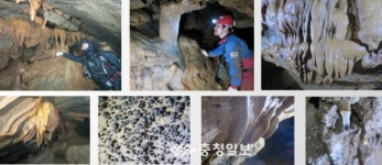 단양 영천동굴, 총 길이 735m 확인