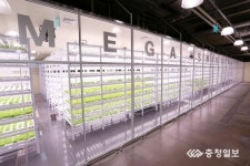 천안 메가도매센터 친환경 식물공장 첫 선