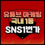 SNS1번가 , 유튜브 조회수 늘리기 통한 높은 채널 성장 지원