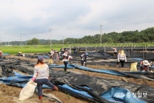 금산소방서, 의용소방대 수해복구활동에 연일 구슬땀