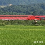 남일면행정복지센터, 드론활용 공동방제 실시