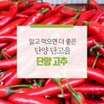 단양 단고을 고추 신뢰받는 지역특산물 대상