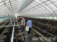 증평군 농업기술센터, 신규농업인 영농정착기술교육 비대면 수료식 개최